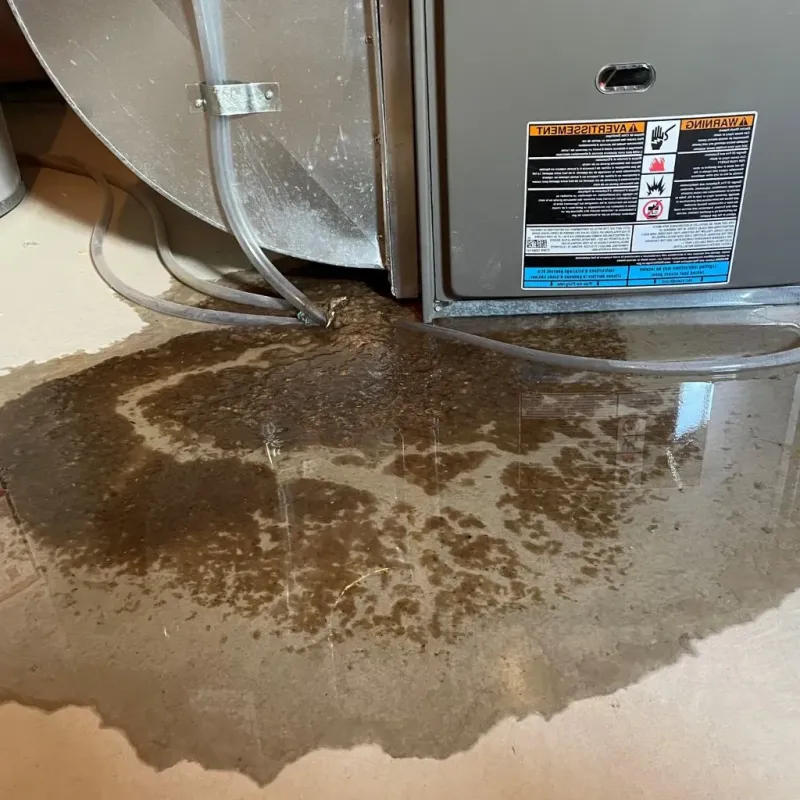 Pipe Burst and Leak Restoration in West Albany, NY